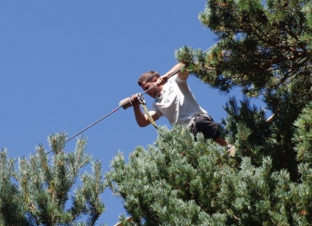 Sur la cime des arbres